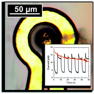 Graphical abstract: Magnetically gated microelectrodes