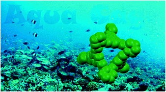 Graphical abstract: Reversible water uptake by a stable imine-based porous organic cage