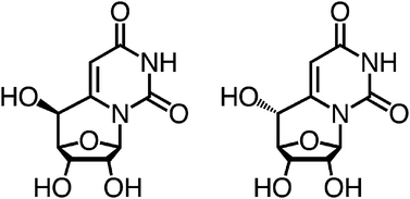 Graphical abstract: An efficient synthetic approach to 6,5′-(S)- and 6,5′-(R)-cyclouridine