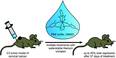Graphical abstract: Synthesis and X-ray structure analysis of a heptacoordinate titanium(iv)-bis-chelate with enhanced in vivo antitumor efficacy
