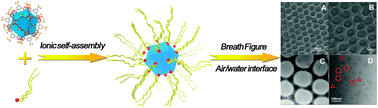 Graphical abstract: Ionic self-assembly of surface functionalized metal–organic polyhedra nanocages and their ordered honeycomb architecture at the air/water interface