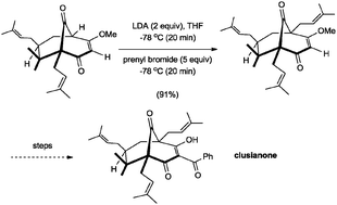 Graphical abstract: Adventures in bridgehead substitution chemistry: synthesis of polycyclic polyprenylated acylphloroglucinols (PPAPs)