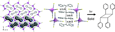 Graphical abstract: Exploring the use of anionic homoleptic complexes as templates in the design of photoreactive multi-component supramolecular assemblies