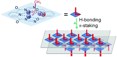 Graphical abstract: Double-layered alcohol: controlling the macroscopic organization of small molecules through the self-assembly of their receptors
