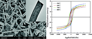 Graphical abstract: Magnetic and electrochemical properties of CuFe2O4 hollow fibers fabricated by simple electrospinning and direct annealing