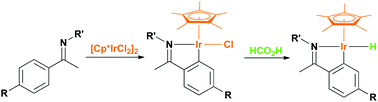 Graphical abstract: Synthesis and X-ray structures of cyclometalated iridium complexes including the hydrides