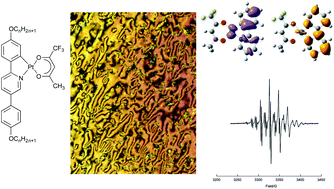 Graphical abstract: Phosphorescent, liquid-crystalline complexes of platinum(ii): influence of the β-diketonate co-ligand on mesomorphism and emission properties