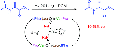 Graphical abstract: Cyclic decapeptide gramicidin S derivatives containing phosphines: novel ligands for asymmetric catalysis