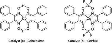 Graphical abstract: Direct ‘in situ’, low VOC, high yielding, CO2 expanded phase catalytic chain transfer polymerisation: towards scale-up