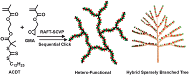 Graphical abstract: High-density and hetero-functional group engineering of segmented hyperbranched polymers via click chemistry