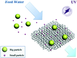 Graphical abstract: A free-standing, hybrid TiO2/K-OMS-2 hierarchical nanofibrous membrane with high photocatalytic activity for concurrent membrane filtration applications
