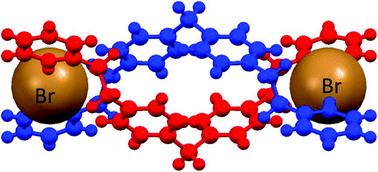 Graphical abstract: The first bromide ion directed double helicate and its role in catalysis