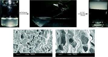 Graphical abstract: Preparation and characterization of pH-sensitive hydrogel for drug delivery system