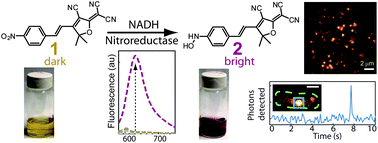 Graphical abstract: Enzymatic activation of nitro-aryl fluorogens in live bacterial cells for enzymatic turnover-activated localization microscopy