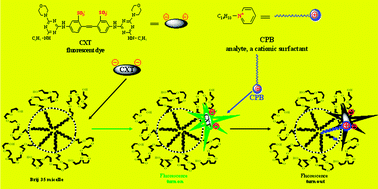 Graphical abstract: A novel method for cetylpyridinium bromide determination in aqueous solution based on fluorescence quenching of dye
