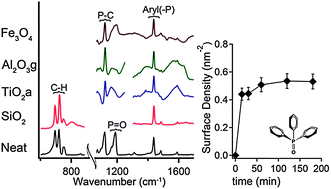 Graphical abstract: Surface modification of metal oxides by polar molecules in a non-polar, polarizable solvent system