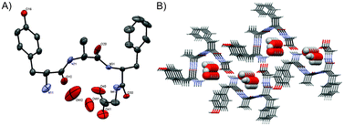 Graphical abstract: Study of the thermal processes in molecular crystals of peptides by means of NMR crystallography
