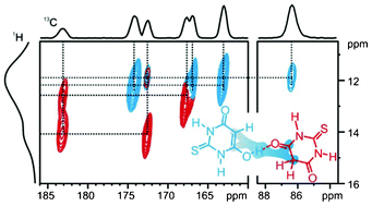 Graphical abstract: NMR crystallography: the use of dipolar interactions in polymorph and co-crystal investigation