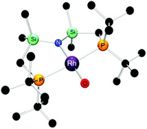 Graphical abstract: Reactivity of the terminal oxo species ((tBu2PCH2SiMe2)2N)RhO