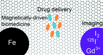 Graphical abstract: Filling carbon nanotubes for nanobiotechnological applications