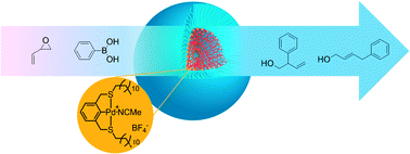 Graphical abstract: Catalytic Y-tailed amphiphilic homopolymers – aqueous nanoreactors for high activity, low loading SCS pincer catalysts