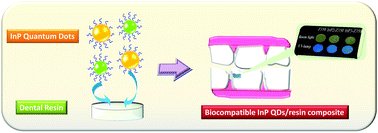 Graphical abstract: Facile dental resin composites with tunable fluorescence by tailoring Cd-free quantum dots