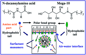 Graphical abstract: Synthesis of two biofriendly anionic surfactants (N-n-decanoyl-l-valine and N-n-decanoyl-l-leucine) and their mixed micellization with nonionic surfactant Mega-10 in Tris-buffer medium at pH 9