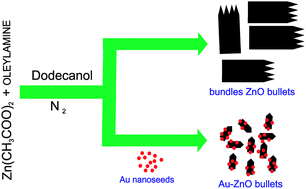 Graphical abstract: Au–ZnO bullet-like heterodimer nanoparticles: synthesis and use for enhanced nonenzymatic electrochemical determination of glucose