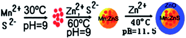 Graphical abstract: Glutathione-functionalized Mn:ZnS/ZnO core/shell quantum dots as potential time-resolved FRET bioprobes