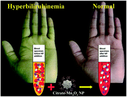 Graphical abstract: Unprecedented catalytic activity of Mn3O4 nanoparticles: potential lead of a sustainable therapeutic agent for hyperbilirubinemia