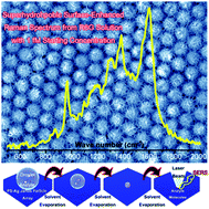 Graphical abstract: Superhydrophobic surface enhanced Raman scattering sensing using Janus particle arrays realized by site-specific electrochemical growth