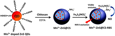 Graphical abstract: Nitric oxide release triggered by two-photon excited photoluminescence of engineered nanomaterials