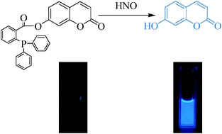 Graphical abstract: A highly sensitive and reductant-resistant fluorescent probe for nitroxyl in aqueous solution and serum
