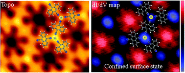 Graphical abstract: Probing the spatial and momentum distribution of confined surface states in a metal coordination network