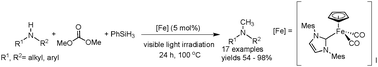Graphical abstract: Methylation of secondary amines with dialkyl carbonates and hydrosilanes catalysed by iron complexes