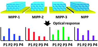 Graphical abstract: Label-free detection and discrimination of poly-brominated diphenylethers using molecularly imprinted photonic cross-reactive sensor arrays