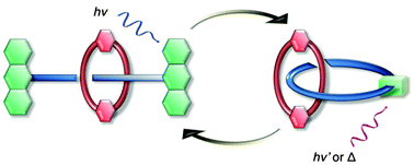 Graphical abstract: Photodriven [2]rotaxane–[2]catenane interconversion