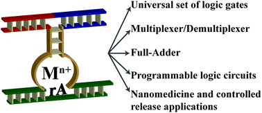 Graphical abstract: Catalytic nucleic acids (DNAzymes) as functional units for logic gates and computing circuits: from basic principles to practical applications