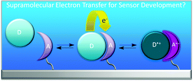 Graphical abstract: Supramolecular electron transfer-based switching involving pyrrolic macrocycles. A new approach to sensor development?