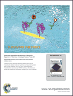 Graphical abstract: Back cover