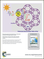 Graphical abstract: Back cover