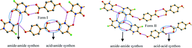 Graphical abstract: Synthon polymorphs of 1 : 1 co-crystal of 5-fluorouracil and 4-hydroxybenzoic acid: their relative stability and solvent polarity dependence of grinding outcomes