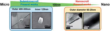 Graphical abstract: Formation of hexagonal boron nitride nanoscrolls induced by inclusion and exclusion of self-assembling molecules in solution process