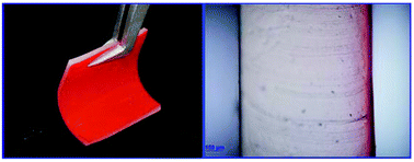 Graphical abstract: A plasmonic random laser tunable through stretching silver nanowires embedded in a flexible substrate
