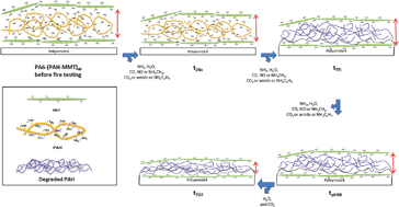 Graphical abstract: Mechanistic investigation of a flame retardant coating made by layer-by-layer assembly