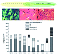 Graphical abstract: Triazolium based ionic liquid crystals: effect of asymmetric substitution