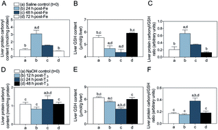 Graphical abstract: A combined iron and thyroid hormone protocol suppresses ischemia–reperfusion injury in rat livers