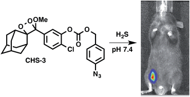 Graphical abstract: Chemiluminescent probes for imaging H2S in living animals