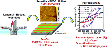 Graphical abstract: Ferroelectricity of poly(vinylidene fluoride) homopolymer Langmuir–Blodgett nanofilms