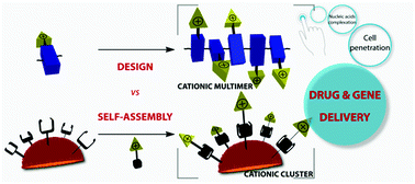 Graphical abstract: Bioactive clusters promoting cell penetration and nucleic acid complexation for drug and gene delivery applications: from designed to self-assembled and responsive systems